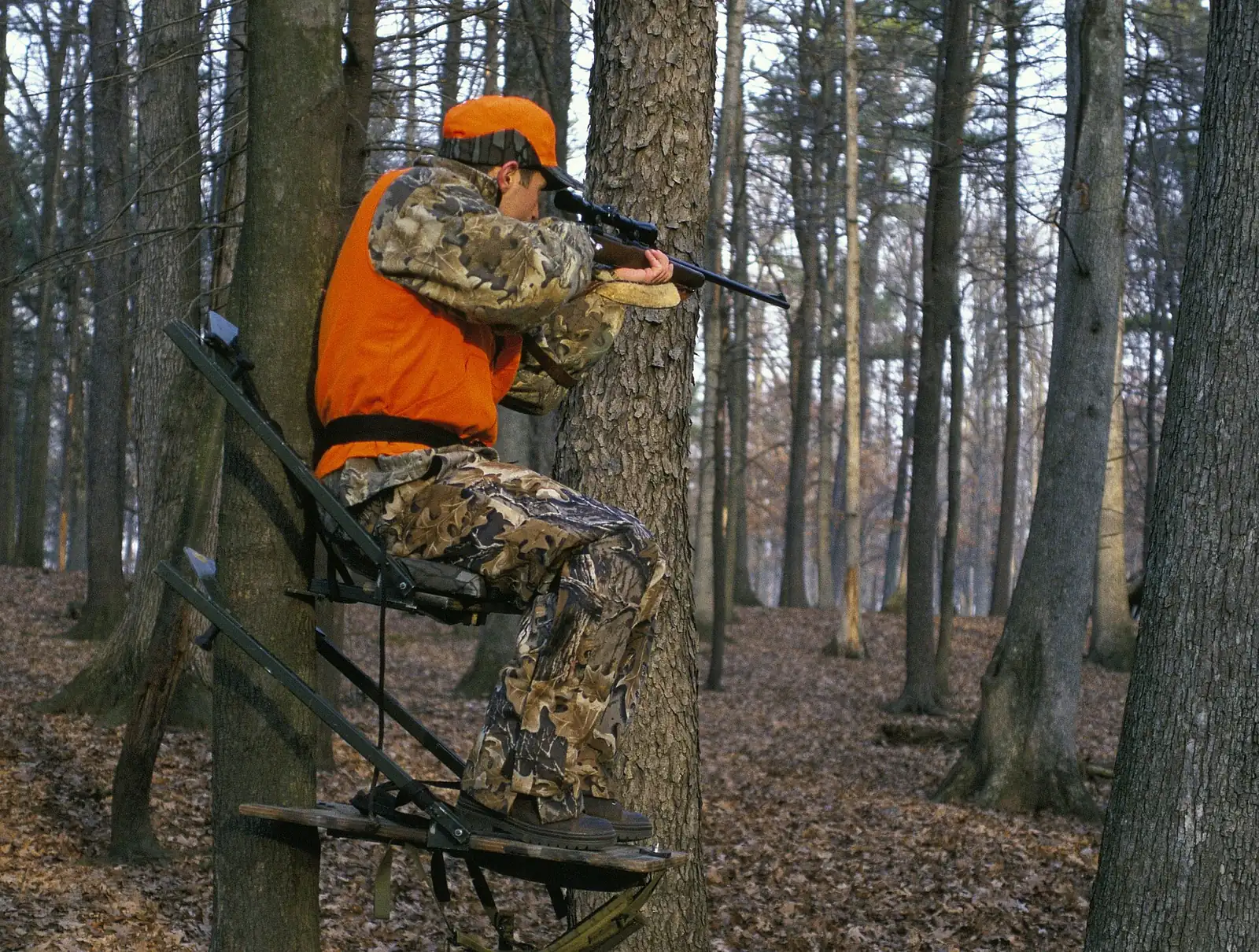 A hunter in blaze orange in a ladder stand in hardwoods